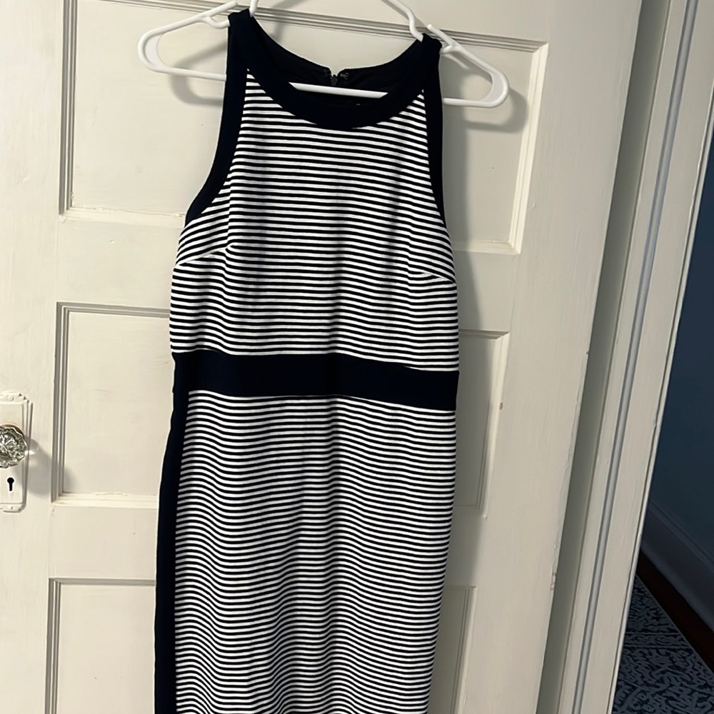 Ann Taylor Fitted Dress